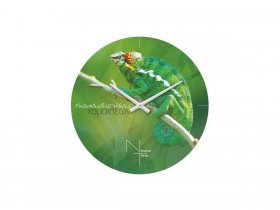 Часы настенные Nicole Time NT503 в Безменово - bezmenovo.mebel-nsk.ru | фото