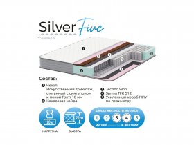 Матрас Silver Five в Безменово - bezmenovo.mebel-nsk.ru | фото
